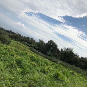 Meet your Posher, Devon